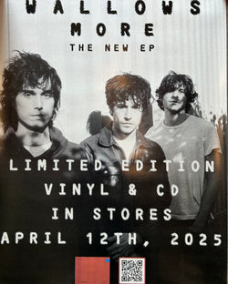 Wallows - RSD 2025 Poster