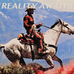 Strokes, The - Reality Awaits LP