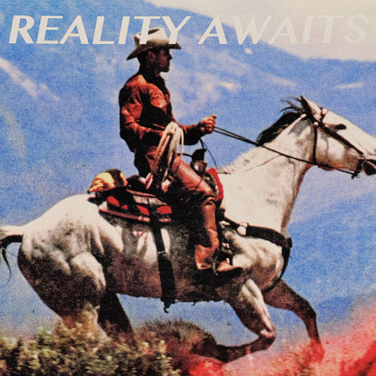 Strokes, The - Reality Awaits LP