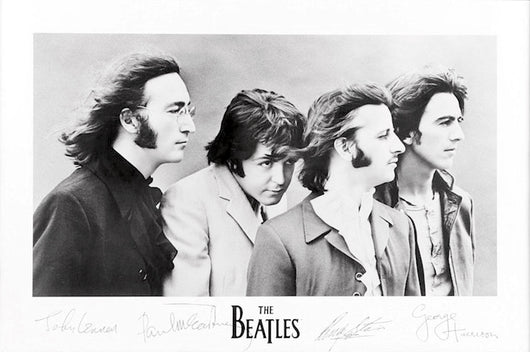 Beatles, The - Signatures Poster