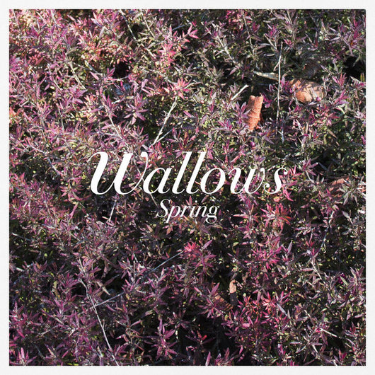 Wallows - Spring  EP