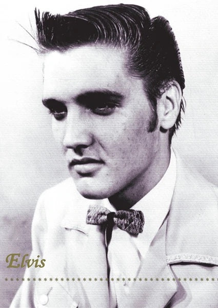 Elvis Presley - Memphis 1954 Poster