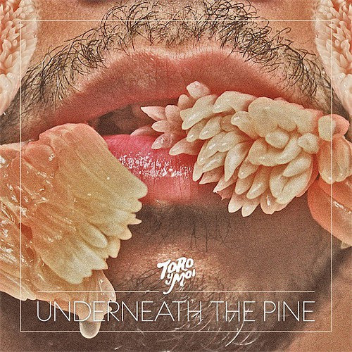 Toro Y Moi - Underneath The Pine LP
